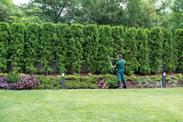 Best Lawn Fertilization  in Johnstown, NY